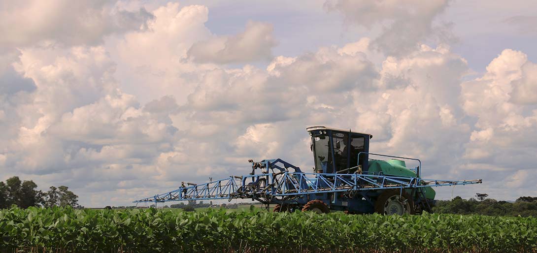Nos raros momentos de tempo seco, agricultores aproveitam para aplicar defensivos.