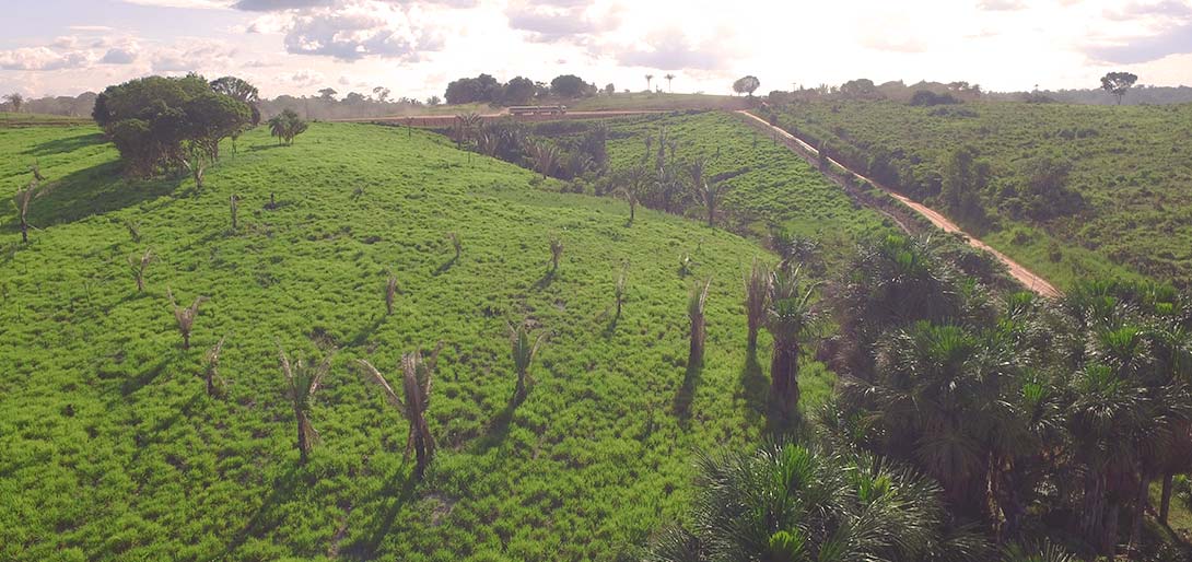 Emoldurada pela Floresta Amazônica, o caminho pelo Pará é de belas paisagens.