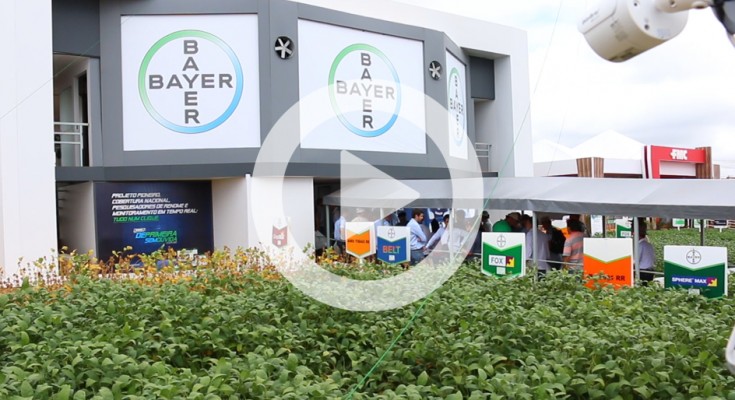 BAYER WEB