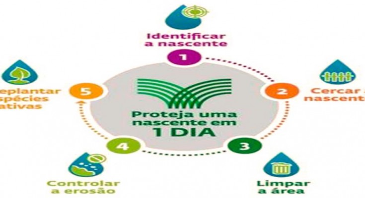 nascentes-programa-2
