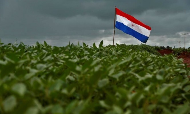 soja Paraguai