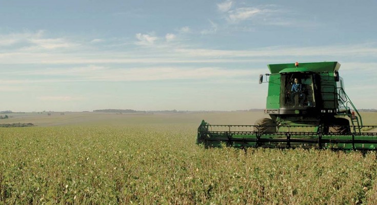 soja-colheita