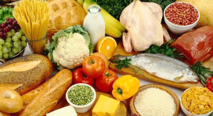 ALIMENTOS-WEB