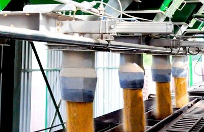 biodiesel soja