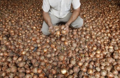 cebola