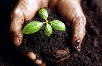 fertilidade-do-solo-como-mudar-12
