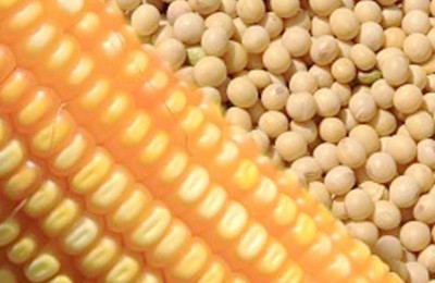 milho-soja-WEB