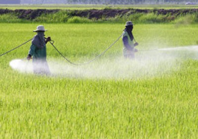 pesquisa_agrotoxicos