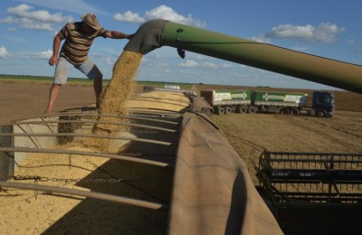trabalhador do campo