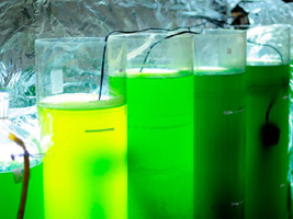 00Microalgas_dejetos_biodiesel