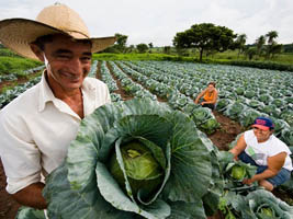 00agricultura_familiar02