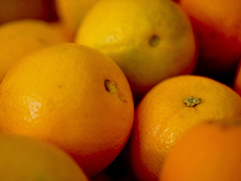 00laranja02