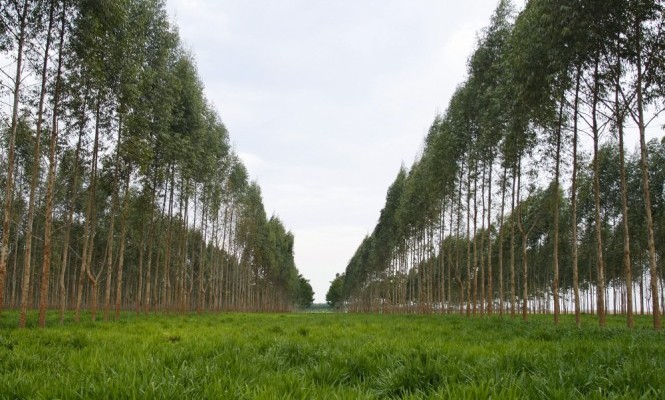 13961557-665x407