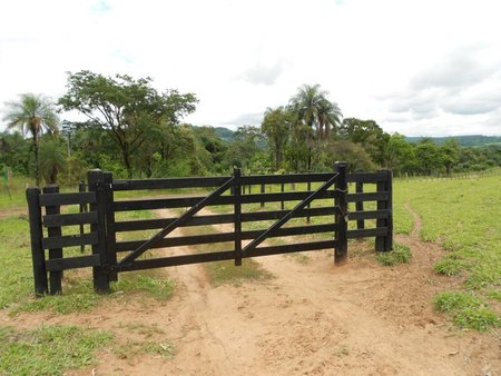 Porteira_-_Fazenda_Carimã_-_Brotas_31_12_2011
