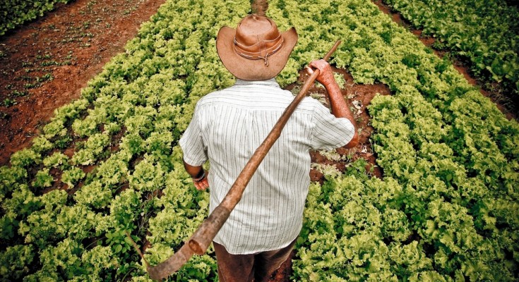 agricultura_familiar