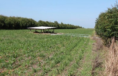 article (1)