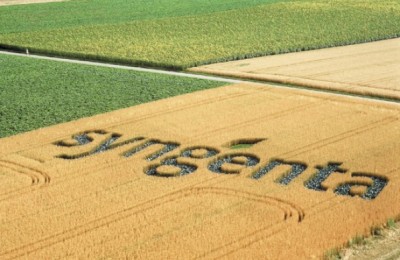 gd_895_24-09_syngenta