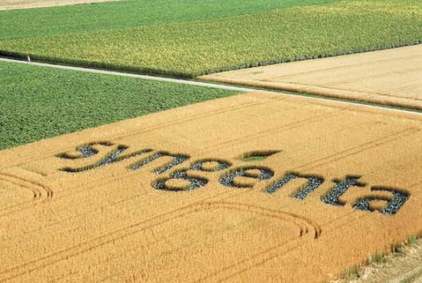 gd_895_24-09_syngenta