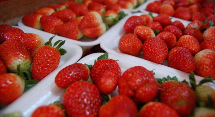 morangos