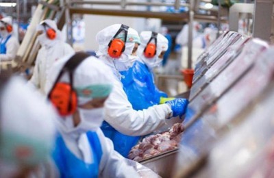 size_960_16_9_marfrigjpg_853x480