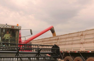 soja-descarregando-2-web