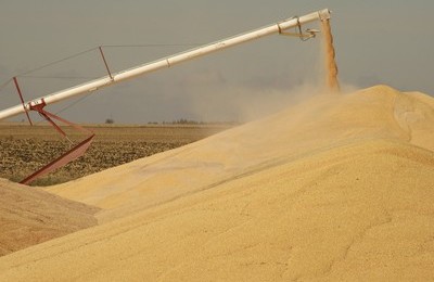 agroconsult