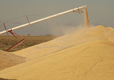 agroconsult