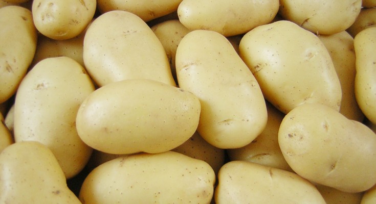 batatas