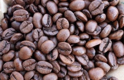 cafe_web
