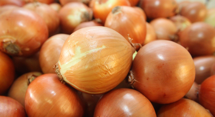 cebola
