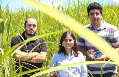 filha-web