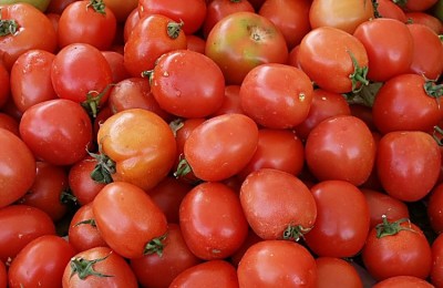 foto-tomate