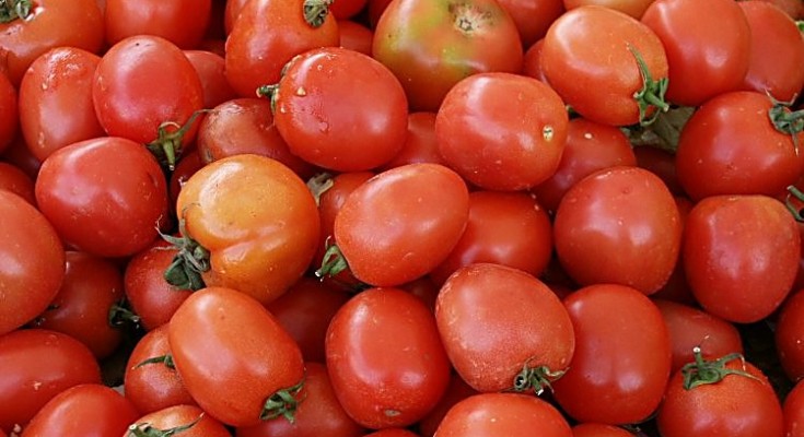 foto-tomate