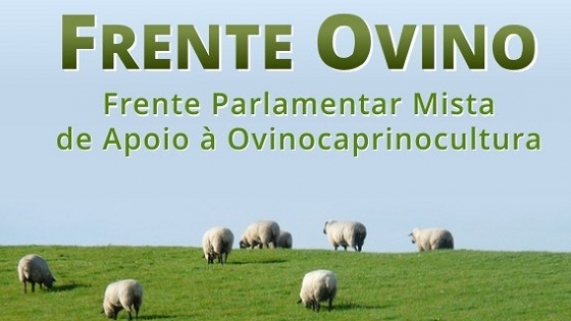 frente_ovino1