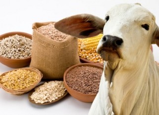 produtos agrocpecuairos