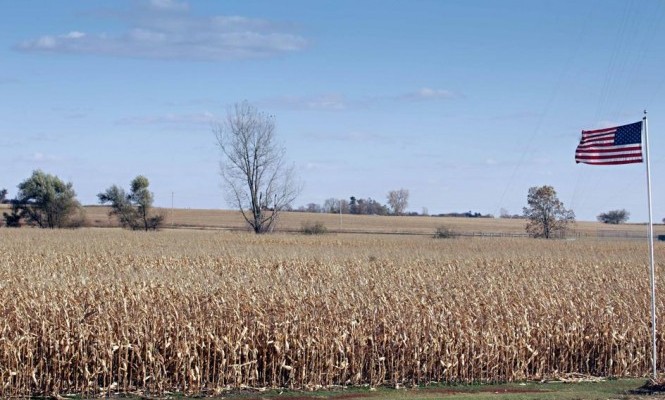 usda