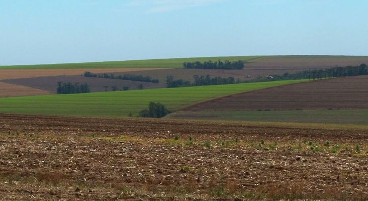 vazio-sanitario-em-mato-grosso-completa-um-mes
