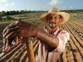 Trabalhador RuralCaraubas - Rio Grande do Norte