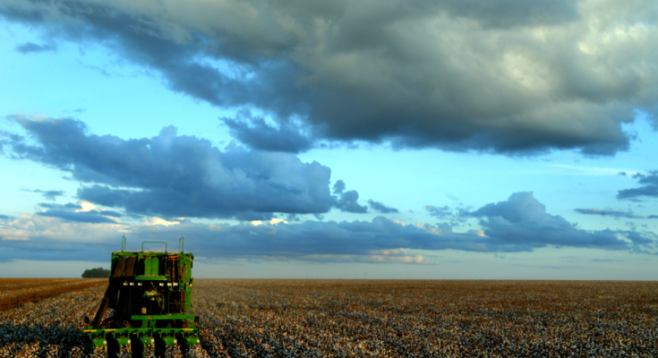 Agriculture_in_Brazil