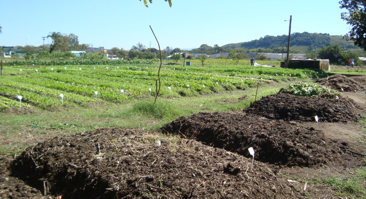 Compostagem_0