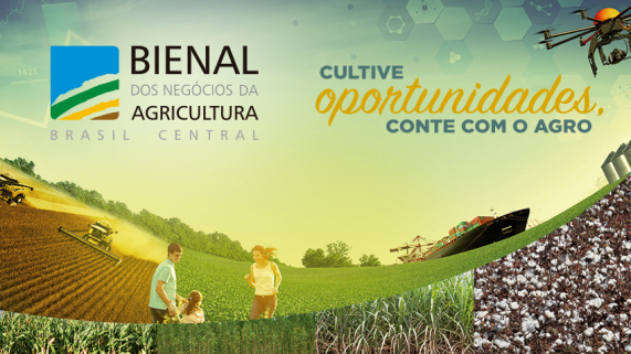 bienal