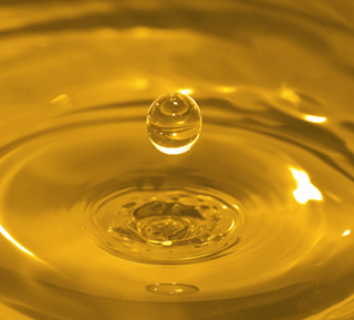 biodiesel eu