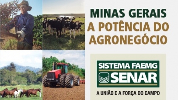 capa_site_dia_produtor_mineiro