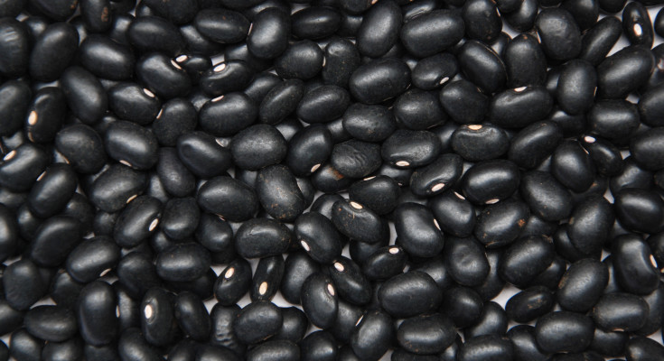 feijao-21