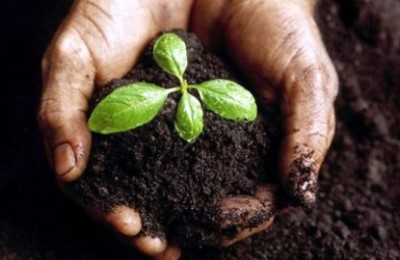 fertilidade-do-solo-como-mudar-12