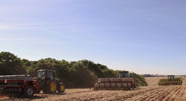 foto-soja-plantadeiras