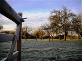 geada_agricultura11(G)