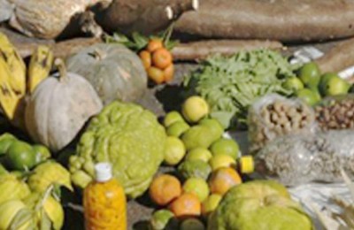 00ALIMENTOS_agricultura_FAM