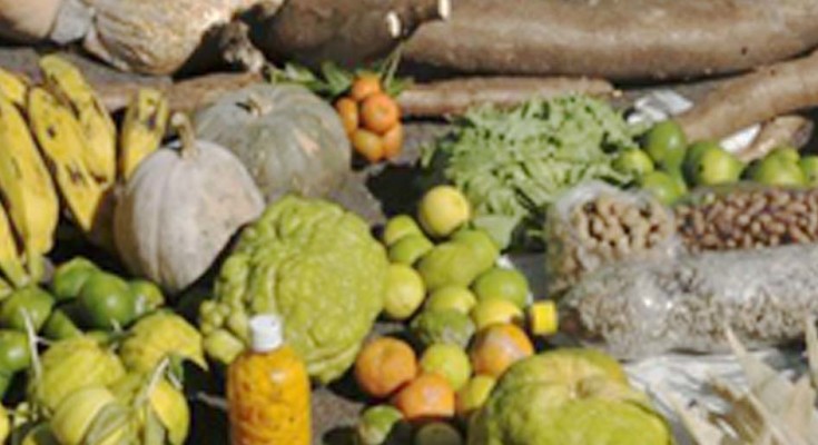 00ALIMENTOS_agricultura_FAM