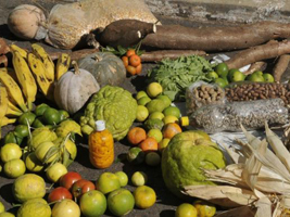 00ALIMENTOS_agricultura_FAMILIAR